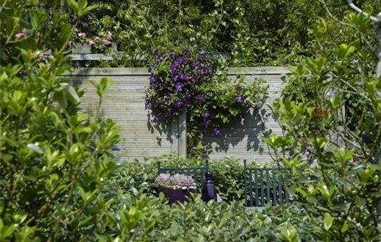 Nachbarn? Nein, danke! Der passende Sichtschutz für den Garten